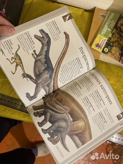 Книга про динозавров