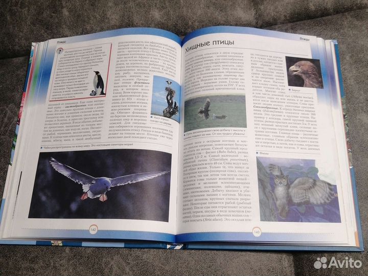 Энциклопедия 