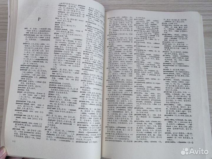 Русско-китайский и китайско-русский словарь