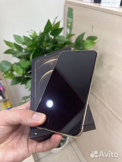iPhone 12 Pro Max, 256 ГБ