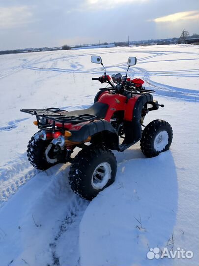 Квадрик 250куб