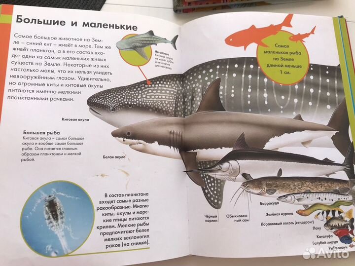 Энциклопедия животных, рыб и насекомых для детей