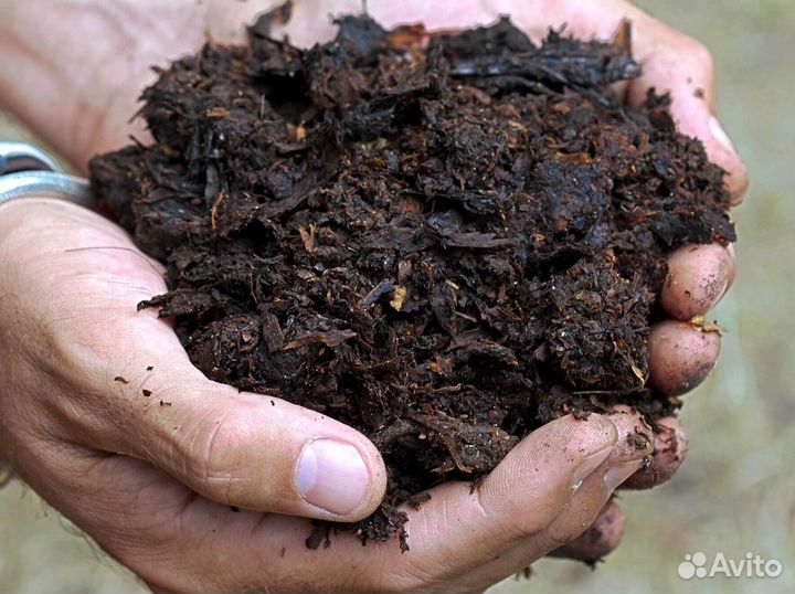 Навоз коровий