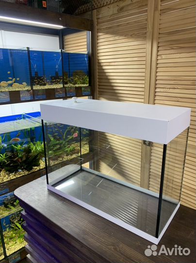 Аквариумы