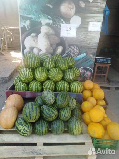 Арбуз