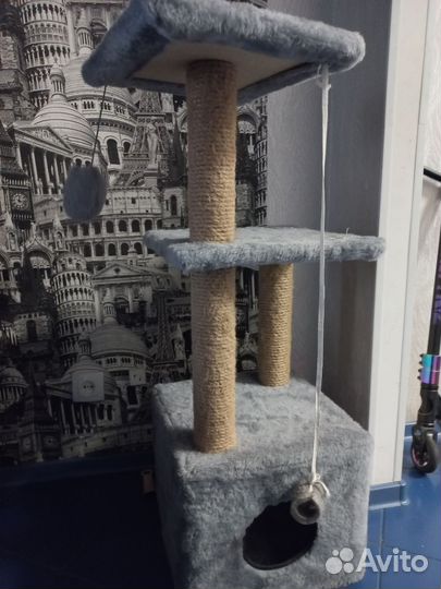 Когтеточка