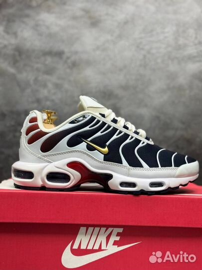 Кеды nike AIR MAX TN