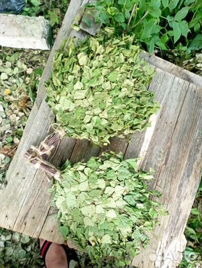 Веники для бани