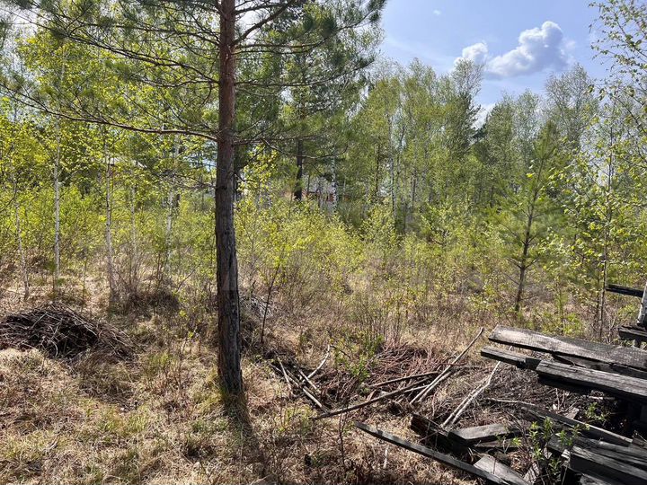 Участок 25 сот. (ИЖС)