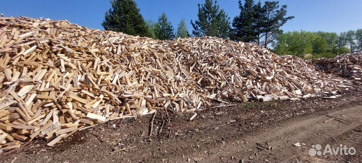 Дрова березовые