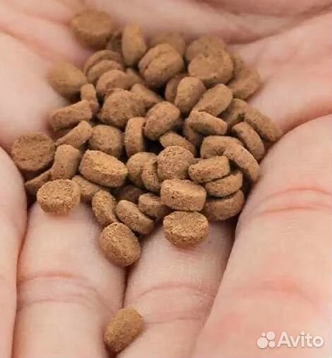 Корм Hikari Sinking Carnivore Pellets, 1 кг