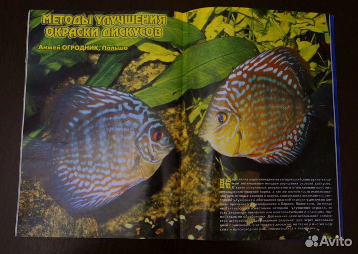 Журнал Aquarium magazine 2004 года