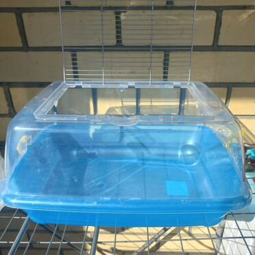 Аквариум для красноухой черепахи