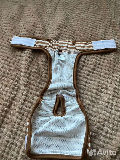 Трусы для собак