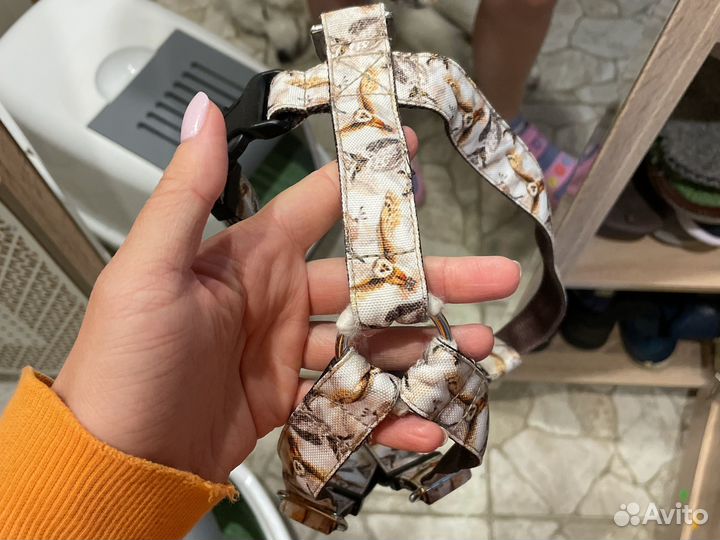 Шлейка для собаки