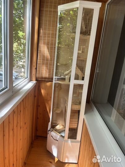 Витрина для шиншилл бу