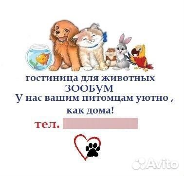Зоогостиница для собак и кошек