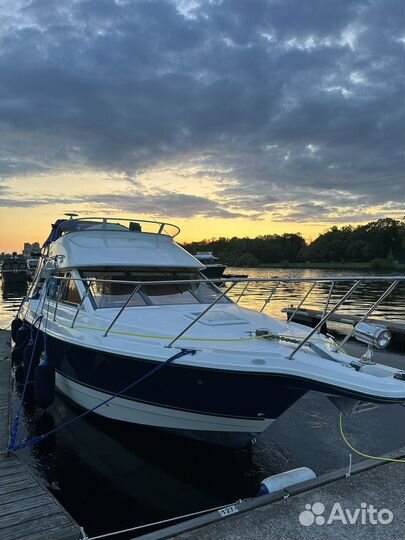 Bayliner 288 discovery