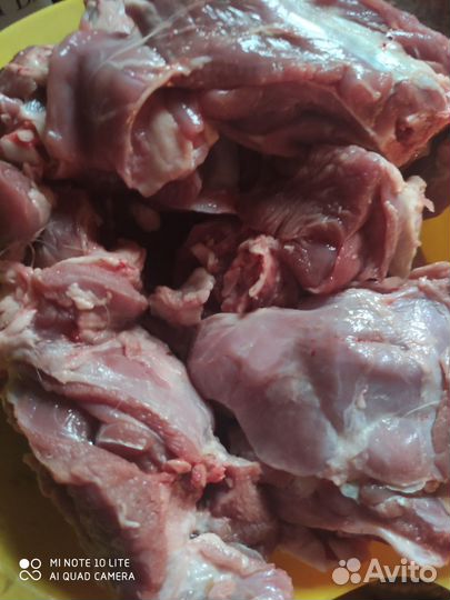 Мясо молоденькая козлятина