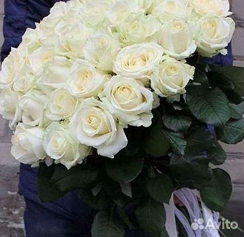 Цветы розы букеты 25 31 35 51 101 251 Доставка