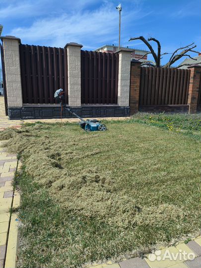 Чистка газона(скарификация), стрижка газона