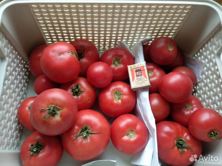 Помидоры эко-продукт супер качества