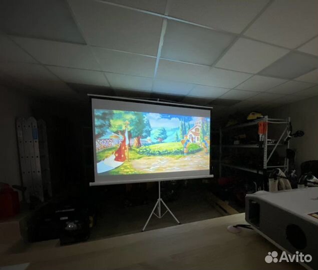 Аренда проектора и экрана