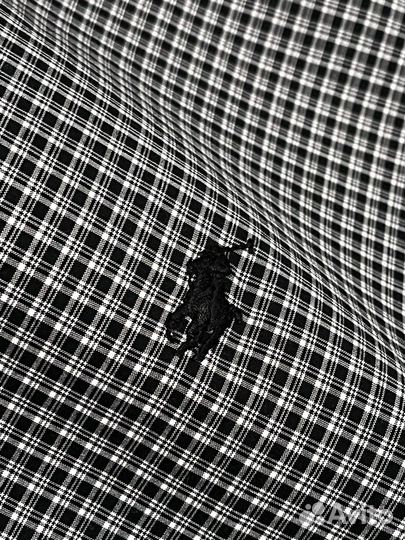 Ralph lauren Рубашка