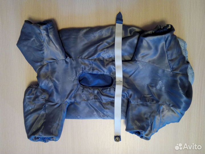 Комбинезон для маленькой собаки демисезонный