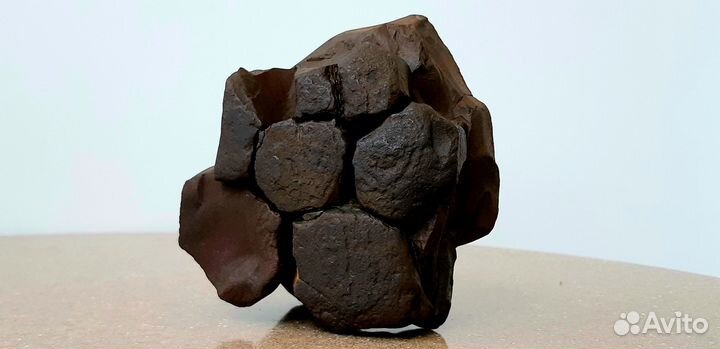 Окаменелость