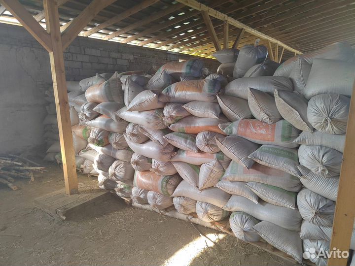 Скорлупа кедрового ореха в мешках (60 литров)