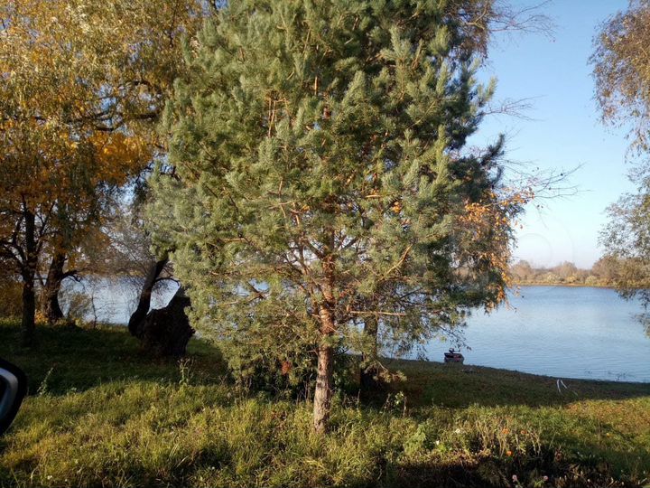 Участок 11 сот. (ИЖС)