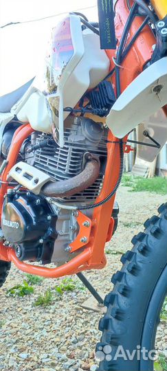 Regulmoto athlete 250
