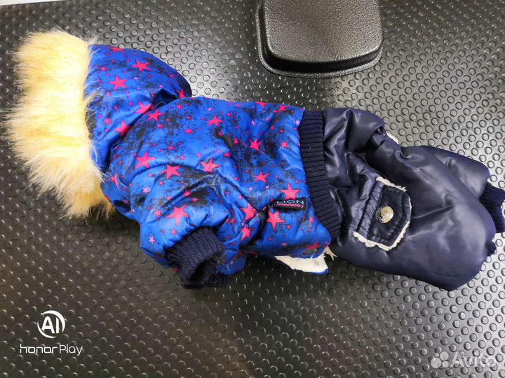 Одежда для маленьких собак