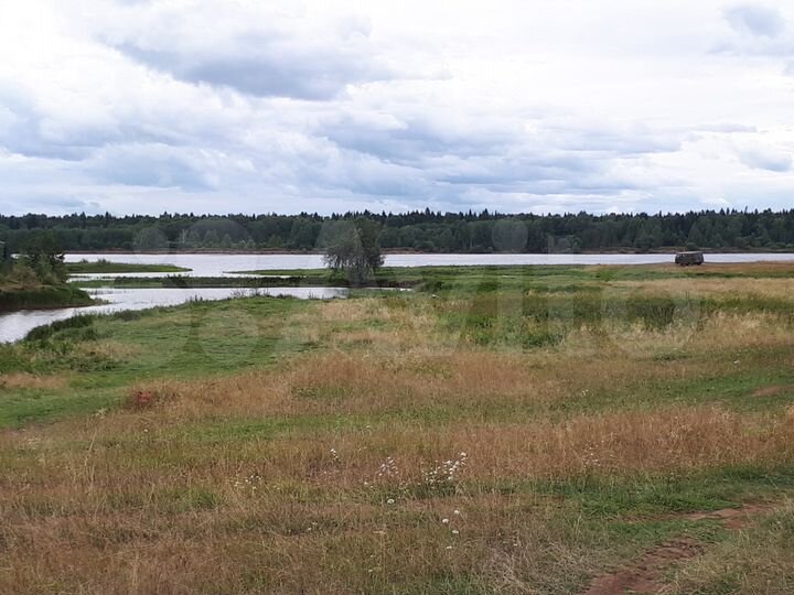 Участок 25 сот. (ИЖС)