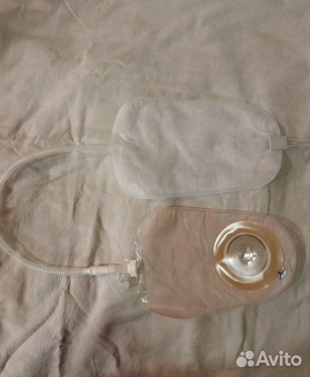 Отдам бесплатно