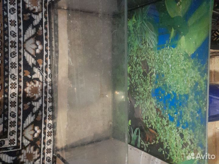 Аквариум