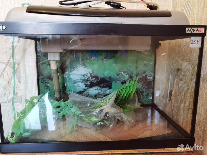 Аквариум