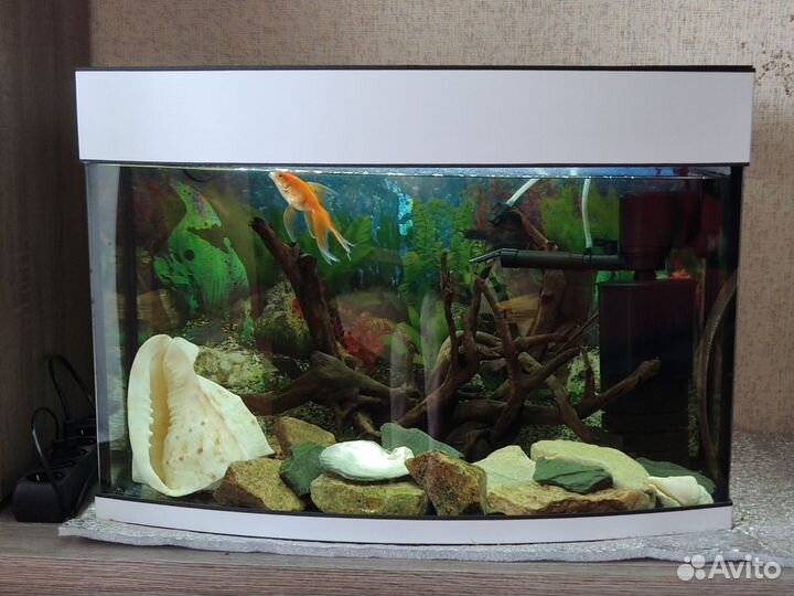 Продам панорамный аквариум, 80 л