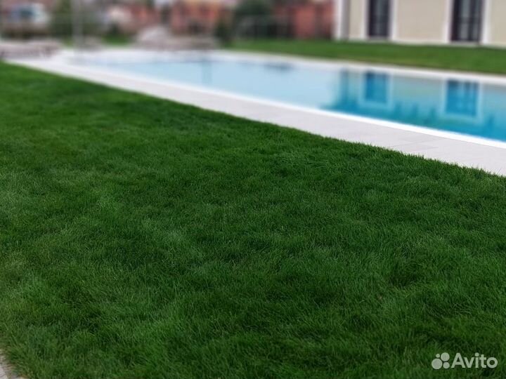 Спринклерный полив, монтаж автополива, автополив