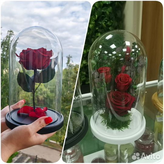 Роза в колбе. Цветы букеты. Подарки. Арт238, от