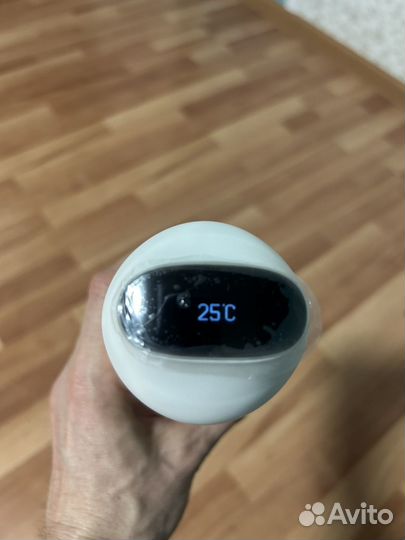 Термобутылка Kiss Kiss Fish