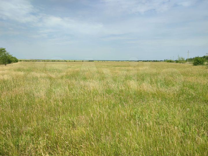 Участок 300 га (СНТ, ДНП)