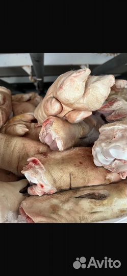 Свинные ноги