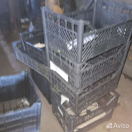 Ящик овощной