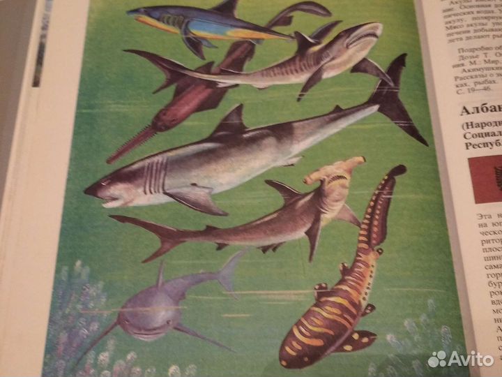 Что такое Кто такой, 2 тома