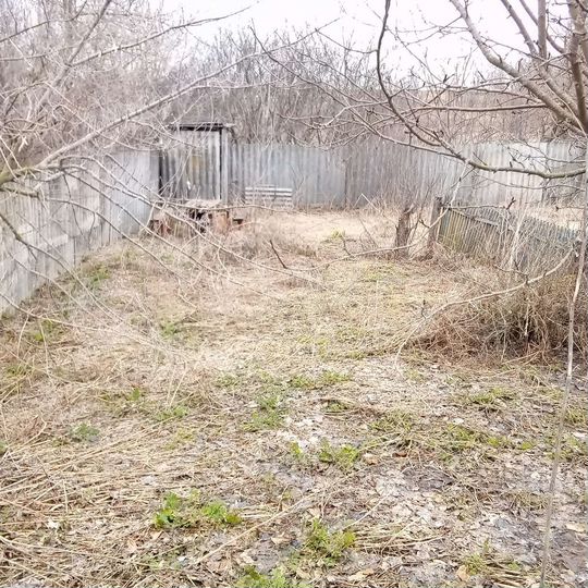 Дом 50 м² на участке 2 га