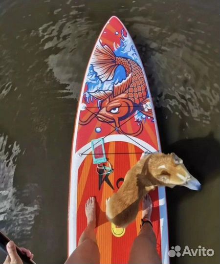 Сап борд доска sup board оптом