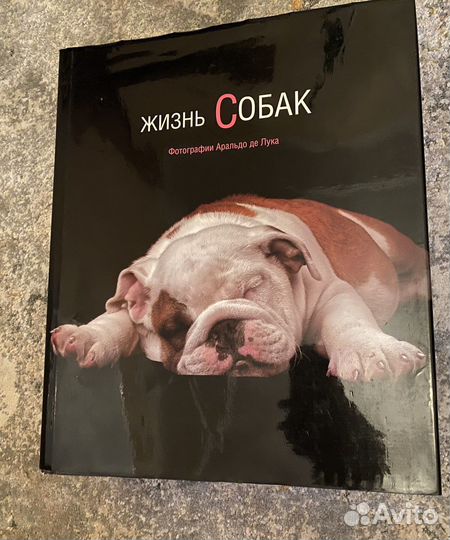 Книга жизнь собак
