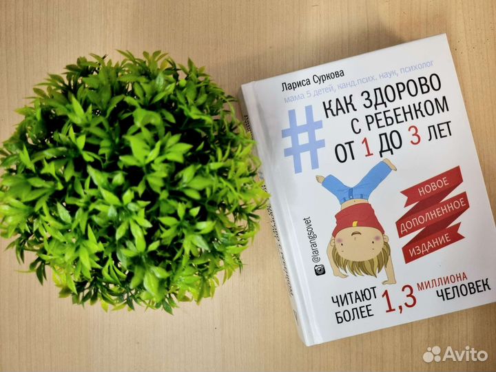 Лариса Суркова, Как здорово с ребенком от 1 до 3